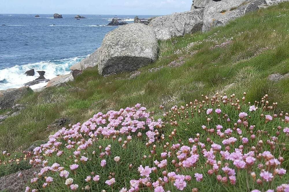 Foto 10 von 18: Ty Feunteun - Breton cottage 5 minutes' walk from the beach