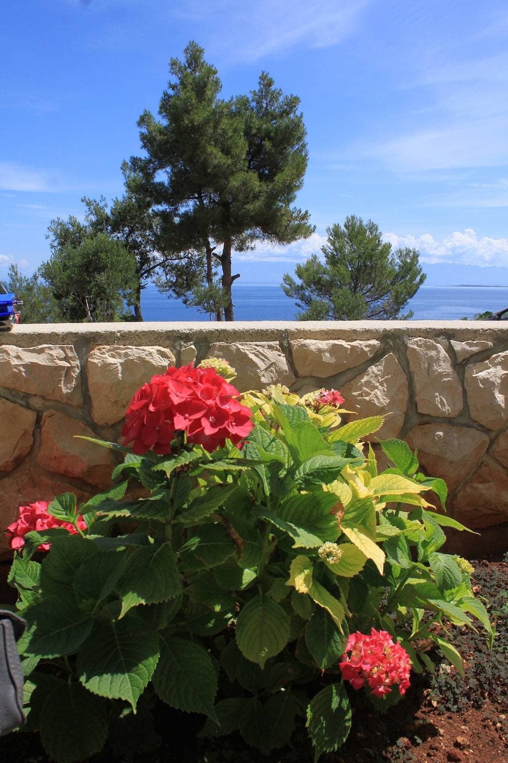 Foto 9 von 19: 1-Zimmer-Ferienwohnung mit Terrasse und Meerblick Mali Losinj, Losinj -a