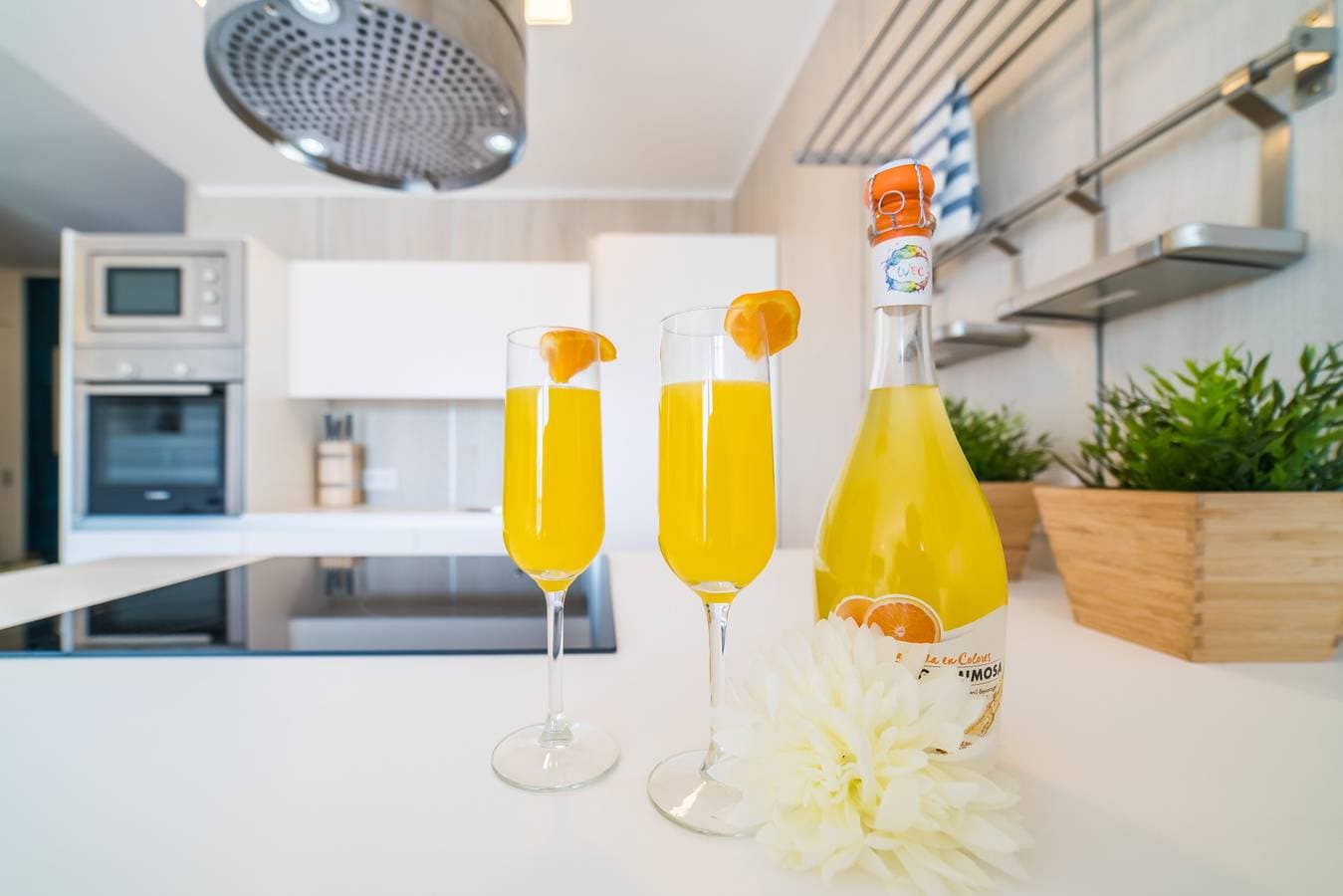 Foto 11 von 29: Mimosa ☼
