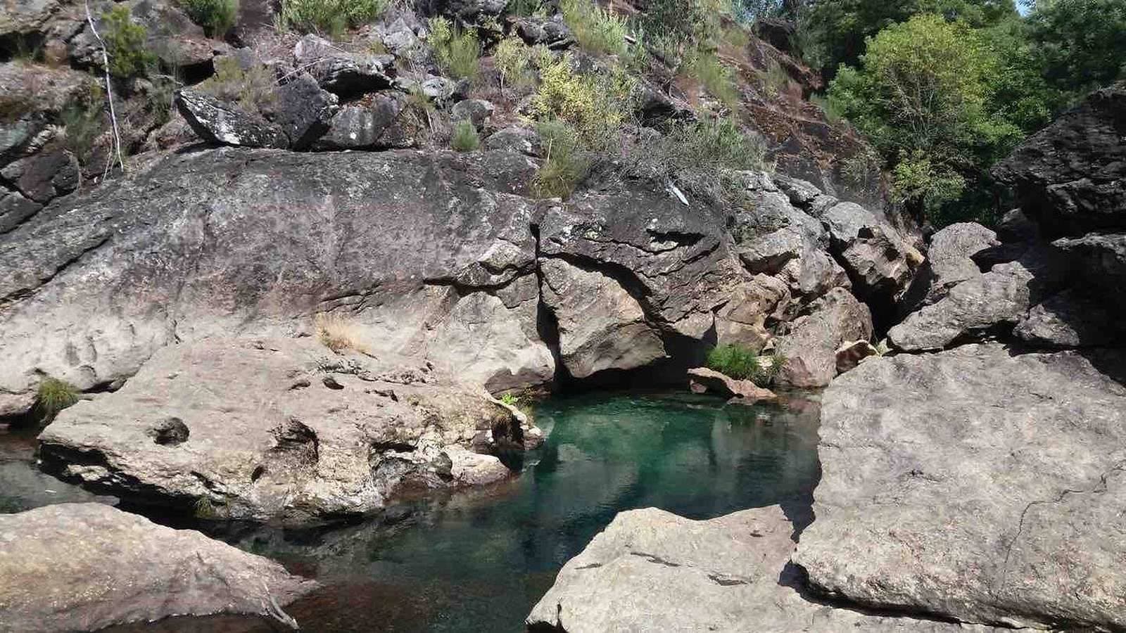 Foto 4 von 30: Waldhaus casinha do Carvalhal