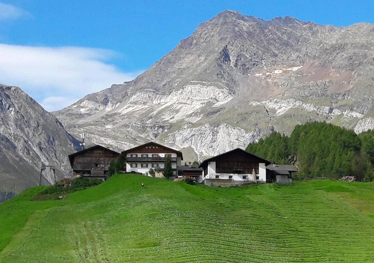 Petergut 1