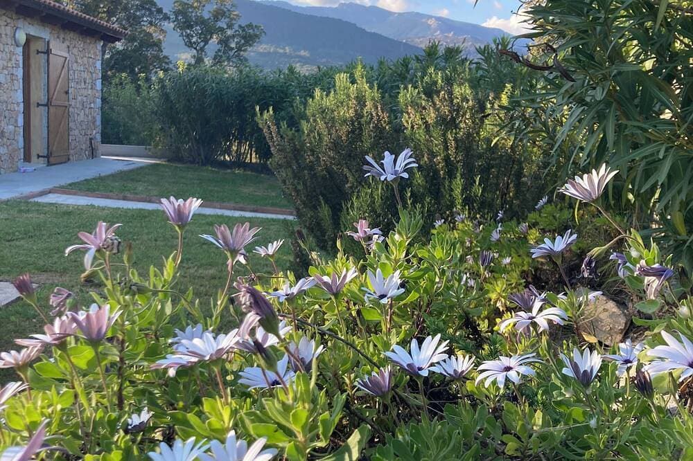 Foto 10 von 18: Belle Villa Avec Piscine Privée A Porto Vecchio