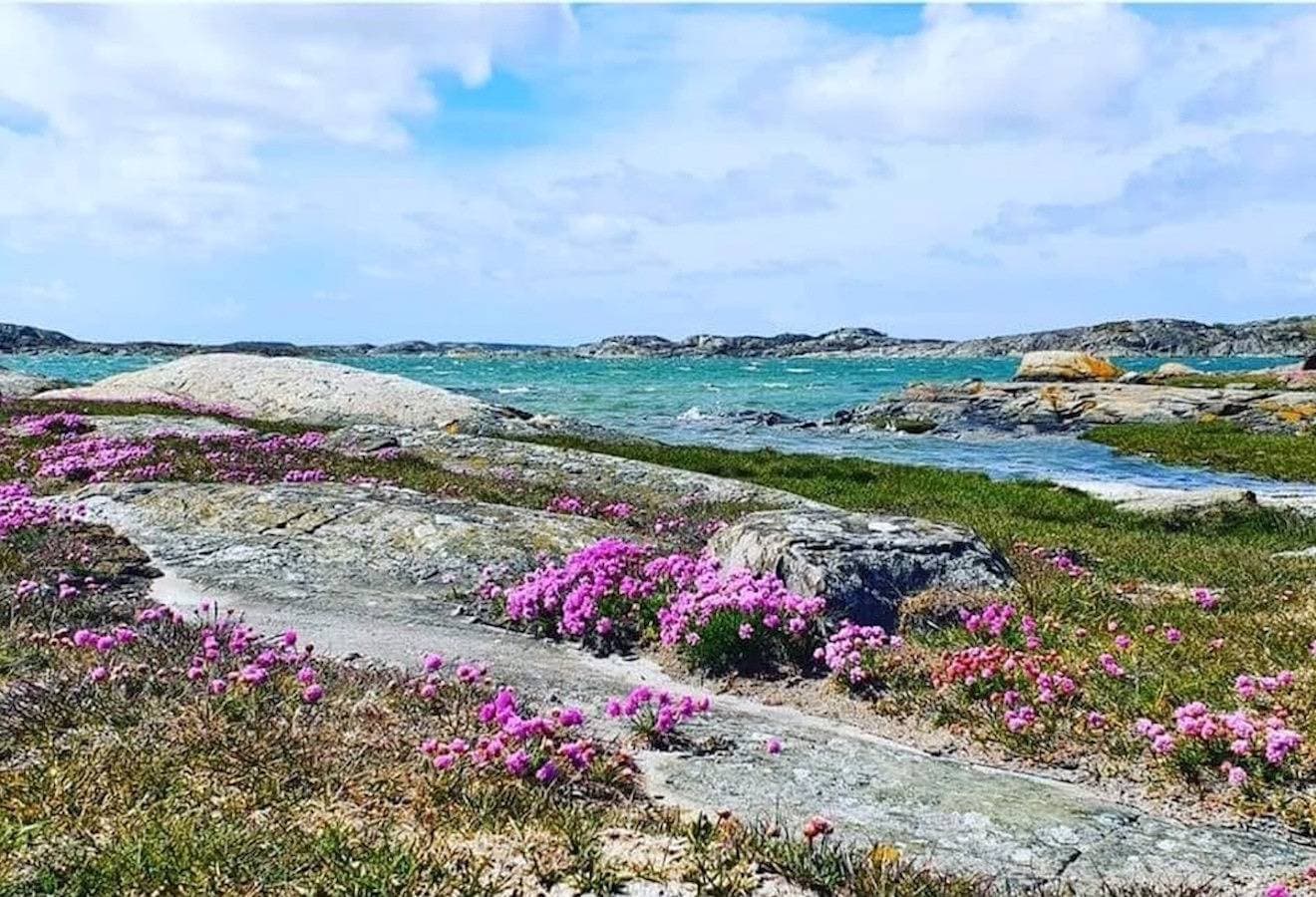 Foto 3 von 8: Urlaub an der Westküste auf der Insel Öckerö