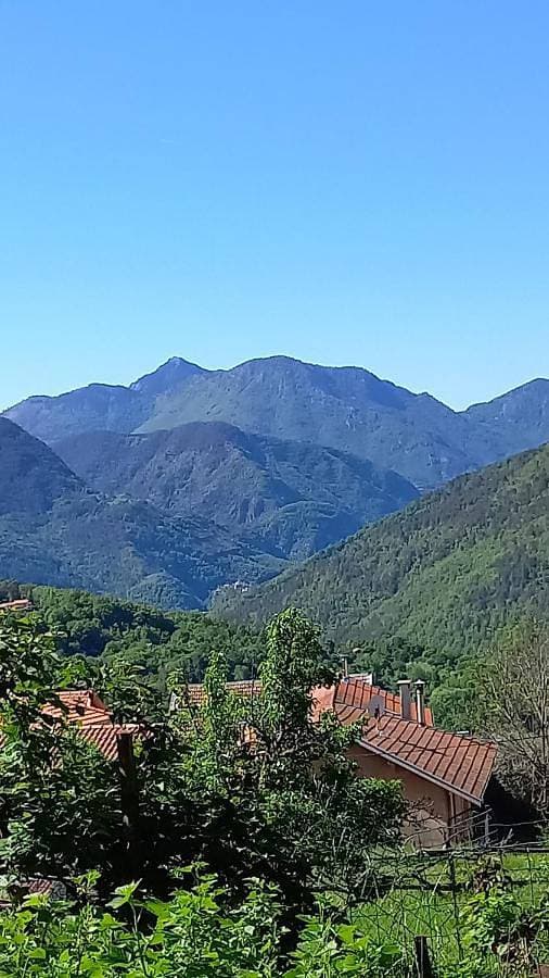 L'Ibrus Blue 1