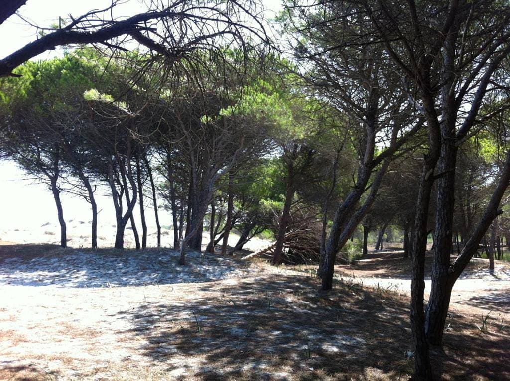 Foto 12 von 118: Sa Petra Ruja Vacanze