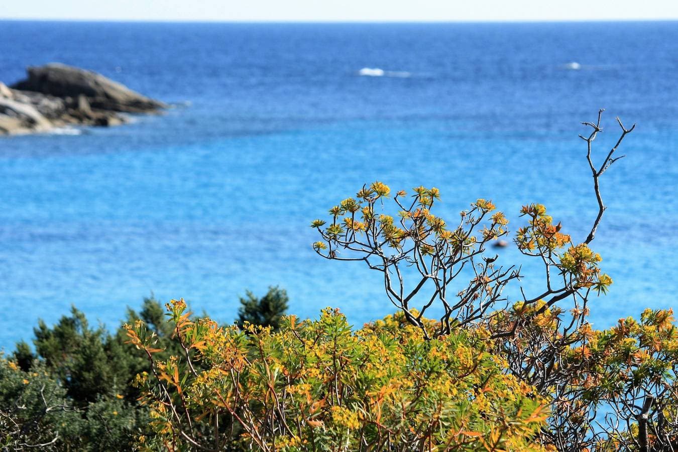Foto 10 von 13: Casa Vacanze I Mandorli 2 – Entspannte Auszeit in Villasimius