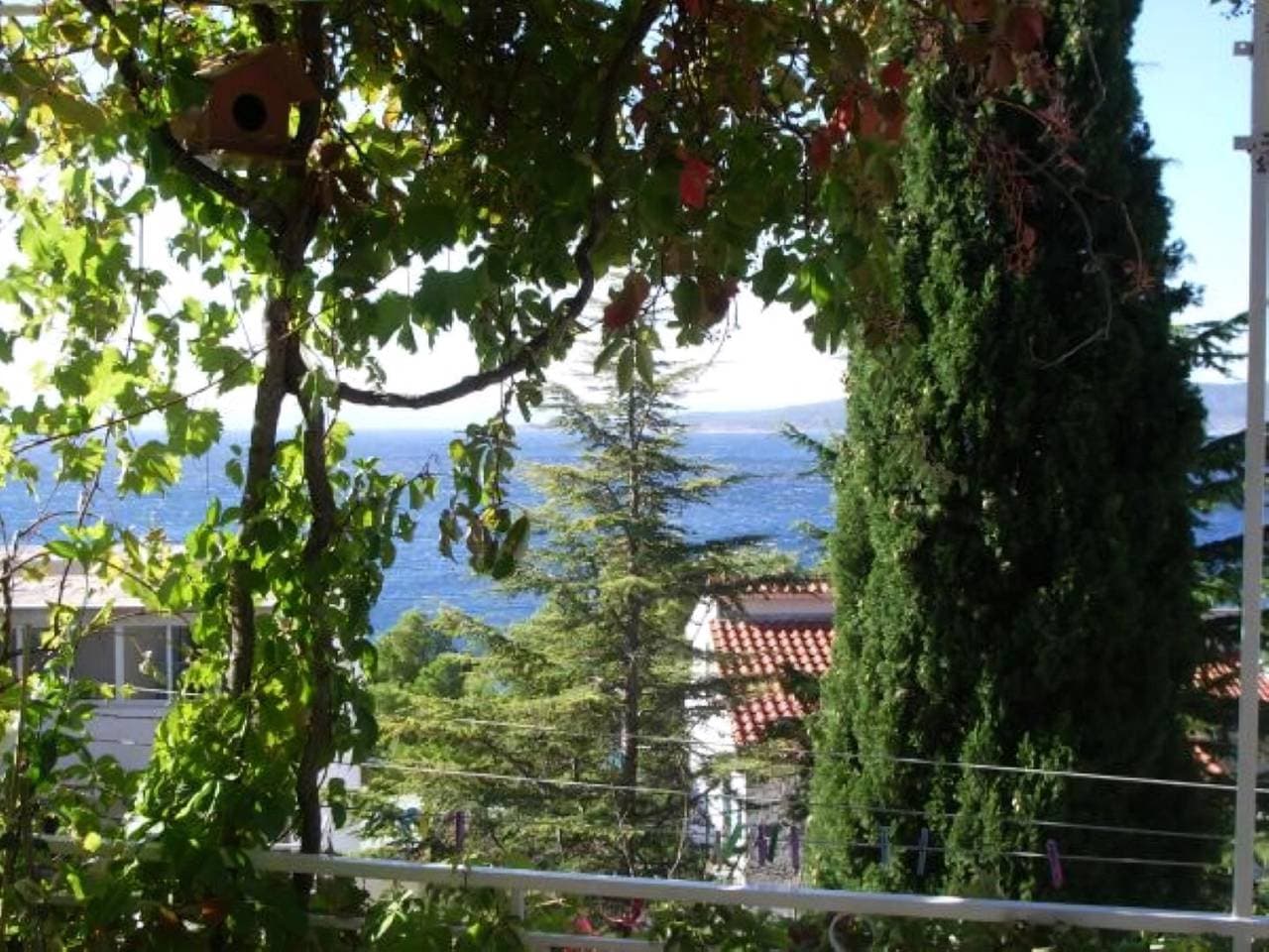 Foto 7 von 18: Apartments Josip II