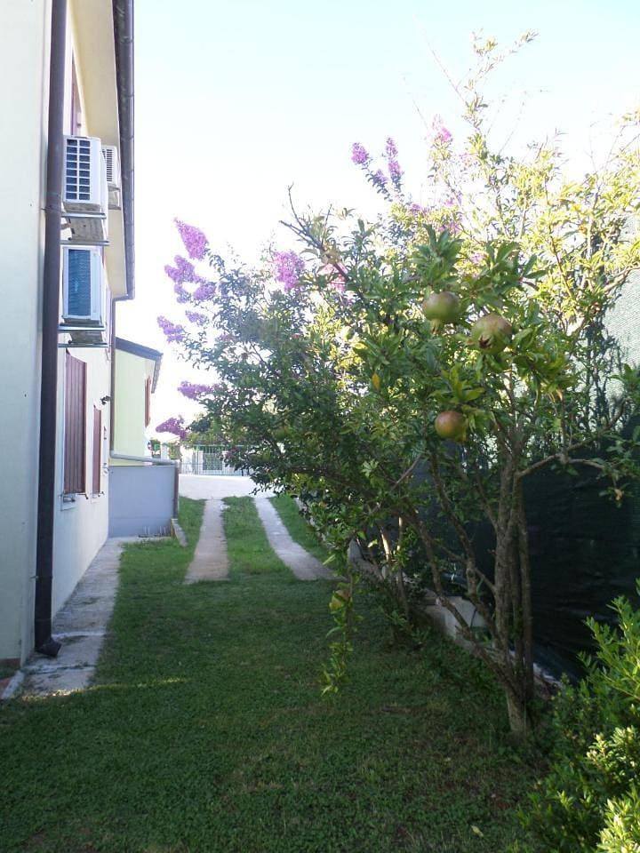 Foto 9 von 16: Apartment with Garden View