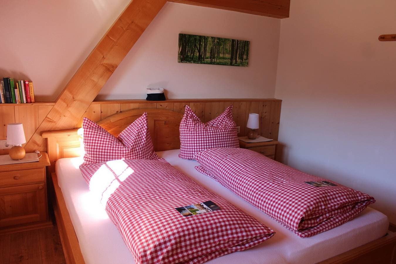 Foto 8 von 37: Apartment 'Feldberg' mit Gemeinschaftsgarten, Balkon und WLAN
