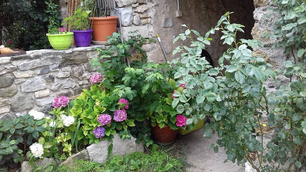Foto 13 von 14: Les Andrieux 2