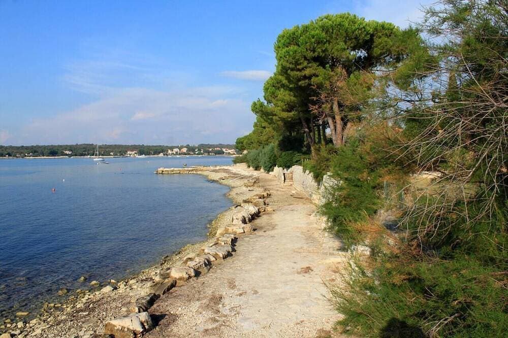 Foto 12 von 15: 1-Zimmer-Ferienwohnung mit Terrasse Dajla, Novigrad