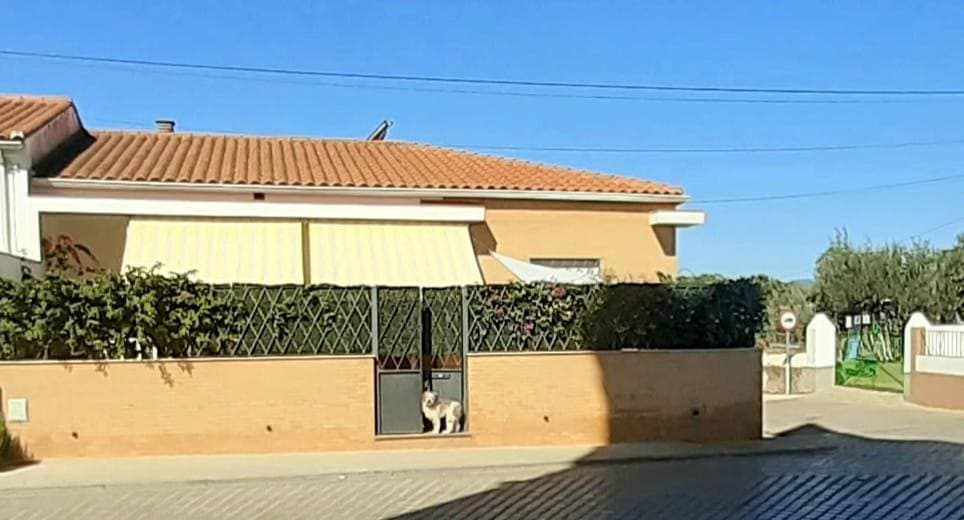 Foto 3 von 24: Holiday Home