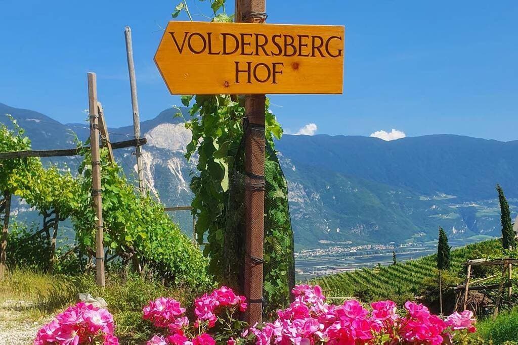 Für 4-6 Wohnhaus im Weinberg - Voldersberghof 1