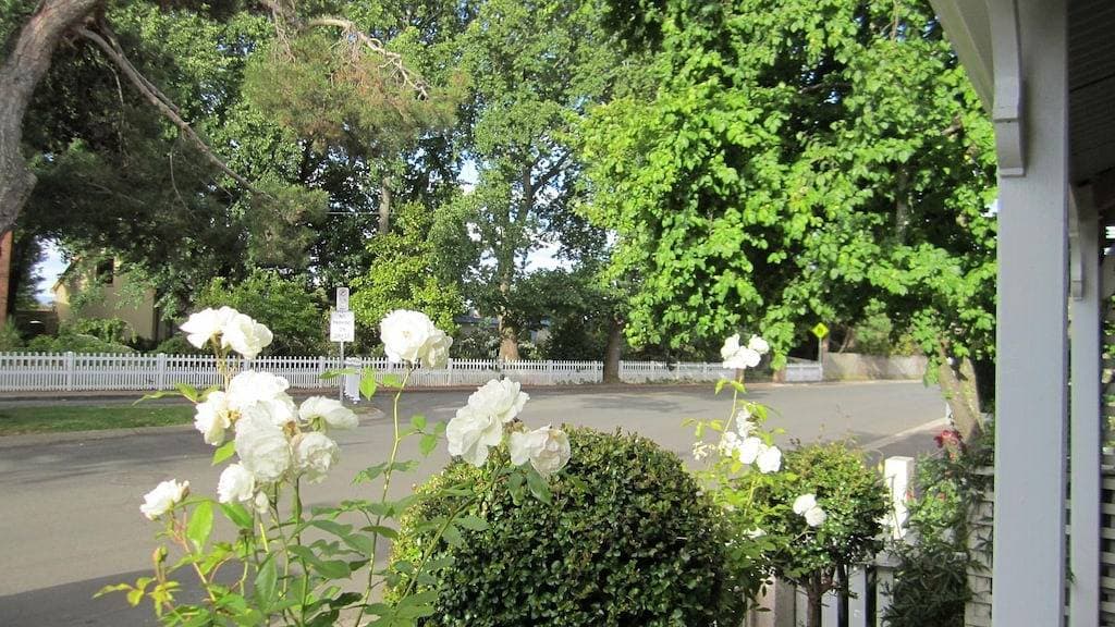 Foto 5 von 20: Arendon Cottage Unterkunft