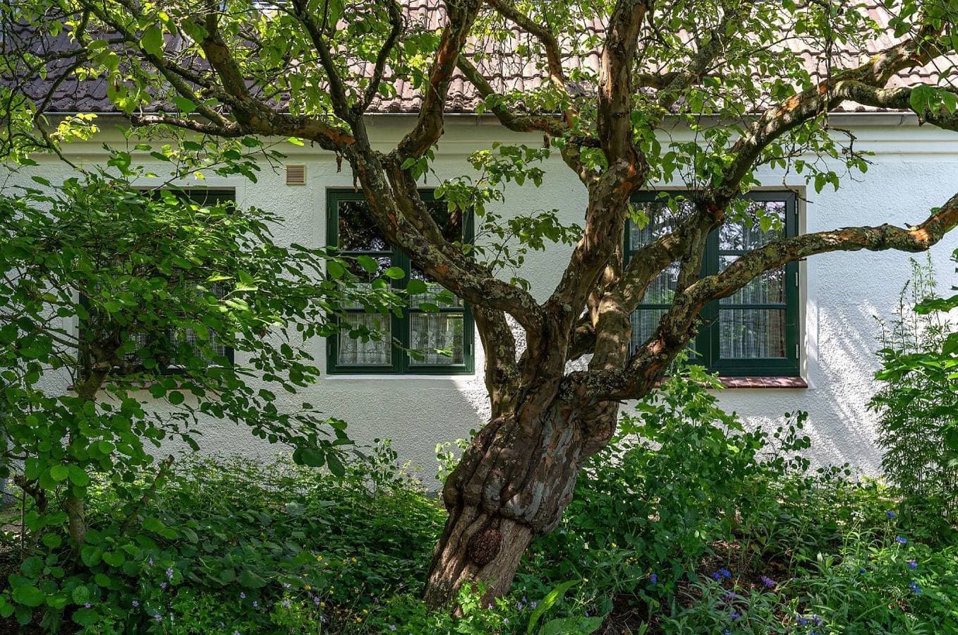 Haus Vogelkiek 1