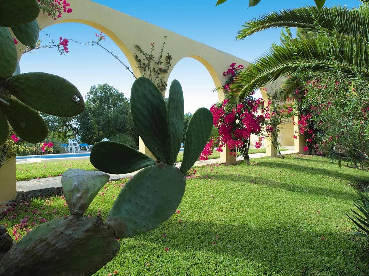 Foto 8 von 45: Finca in Santa Margalida mit Panoramablick