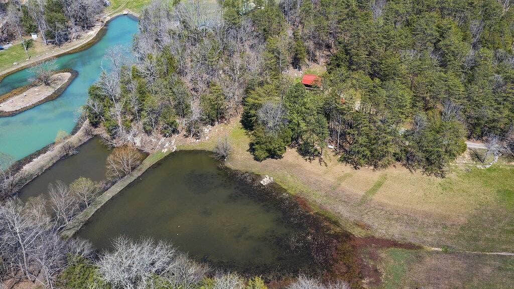 Foto 3 von 16: Secluded Lost Lake Lodge In Cosby - Your Ultimate Hideaway