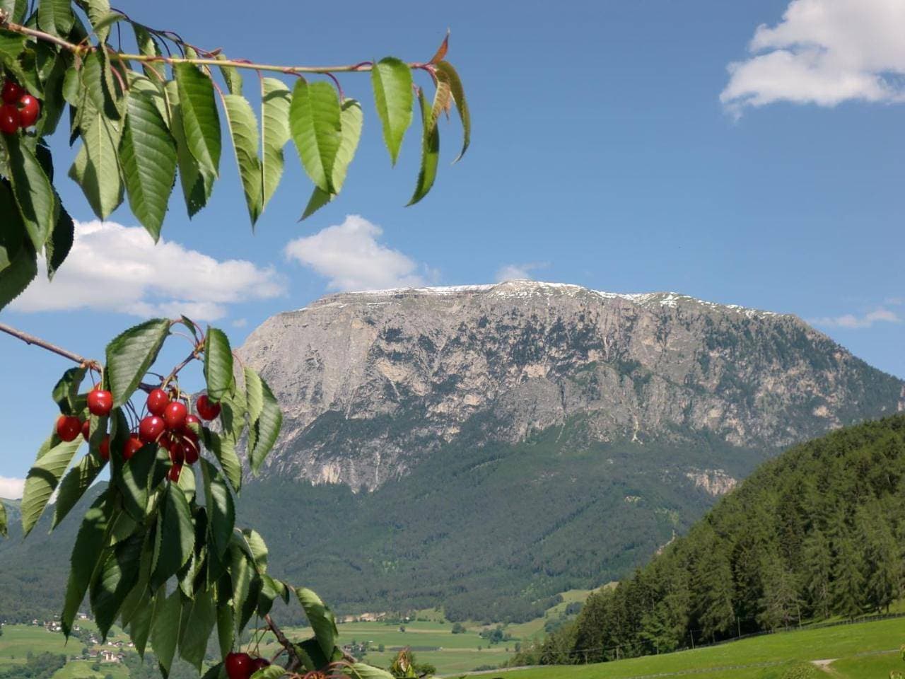 Foto 8 von 16: Apartment with Mountain View Kirschgarten