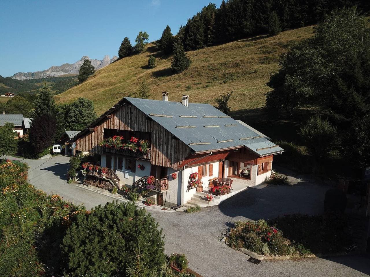 Ancolie Joly 1