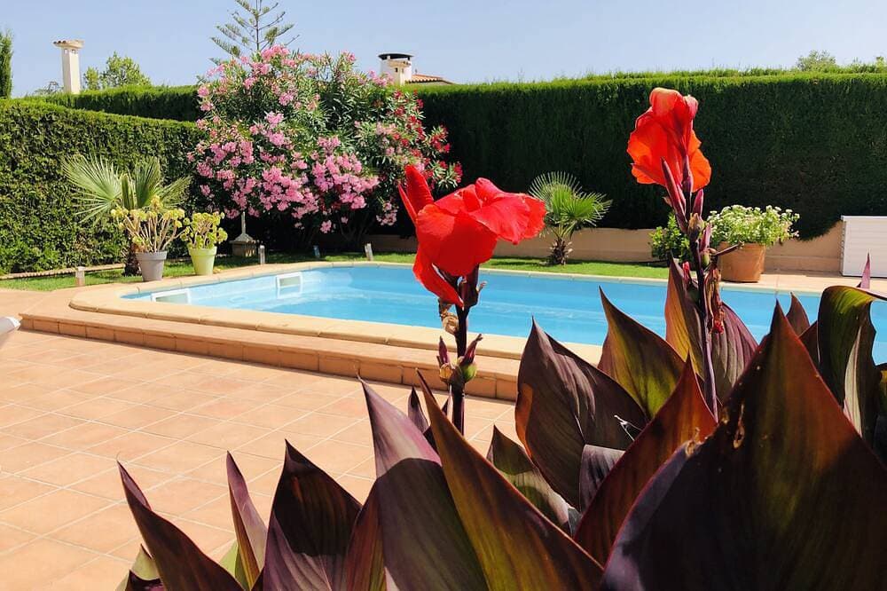 Top gepflegtes und voll ausgestattetes Ferienhaus mit Pool in Strandnähe 1