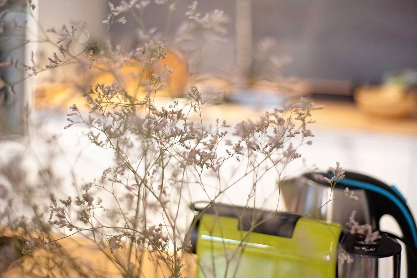Foto 9 von 27: Ferienhaus 'Casita Ravina' mit WLAN, Garten und Klimaanlage