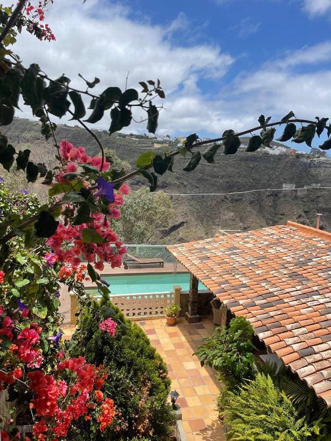 Villa Paloma by Coleus Apartments 1