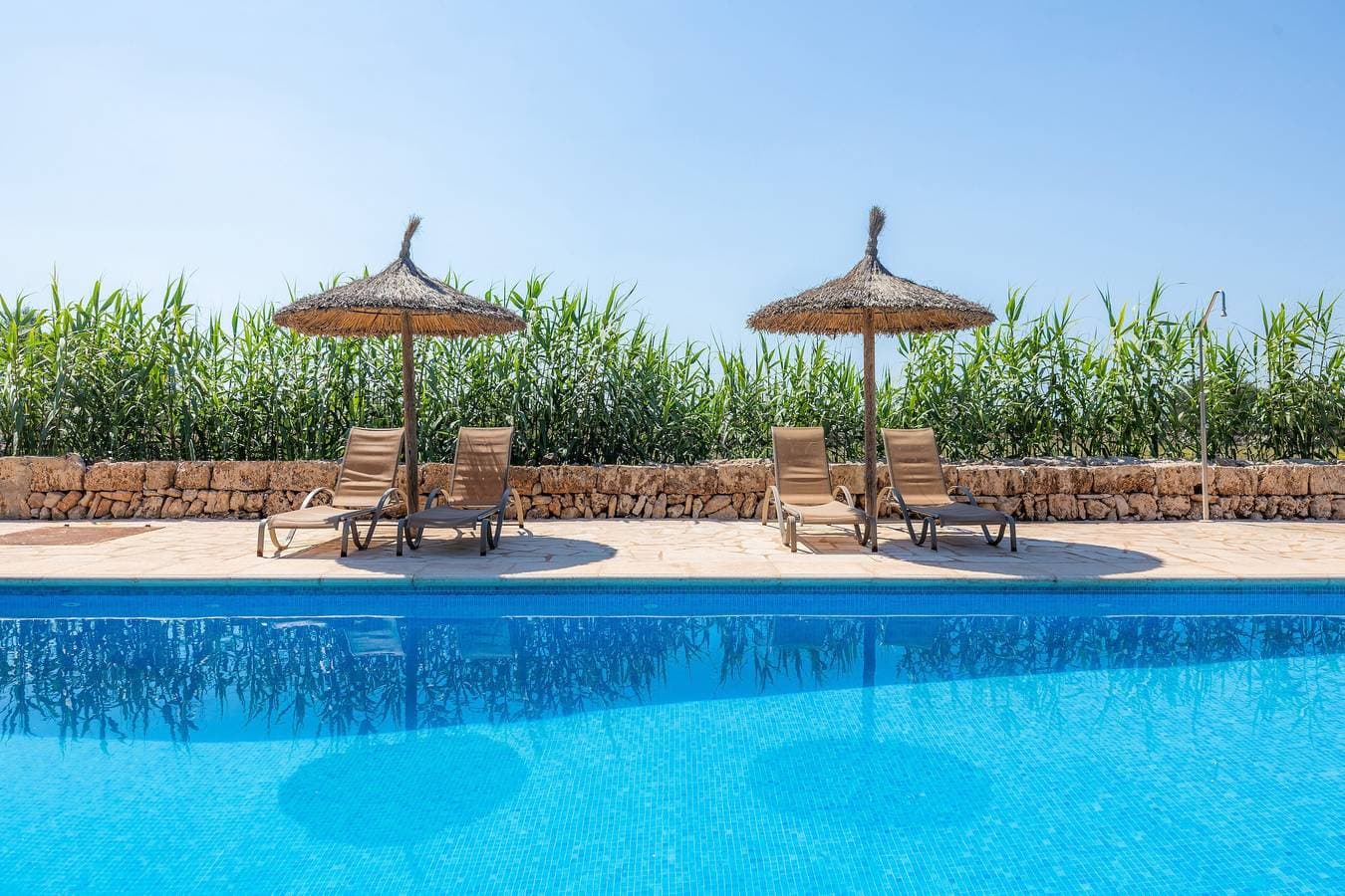 Foto 4 von 28: Agroturismo „Llevant“ mit WLAN, Terrasse, Pool & Garten – geteilt mit 5 Unterkünften