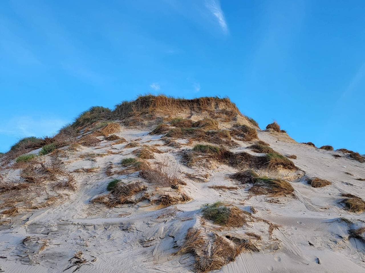 Foto 11 von 36: Gemutliches Dunenhutten-Refugium