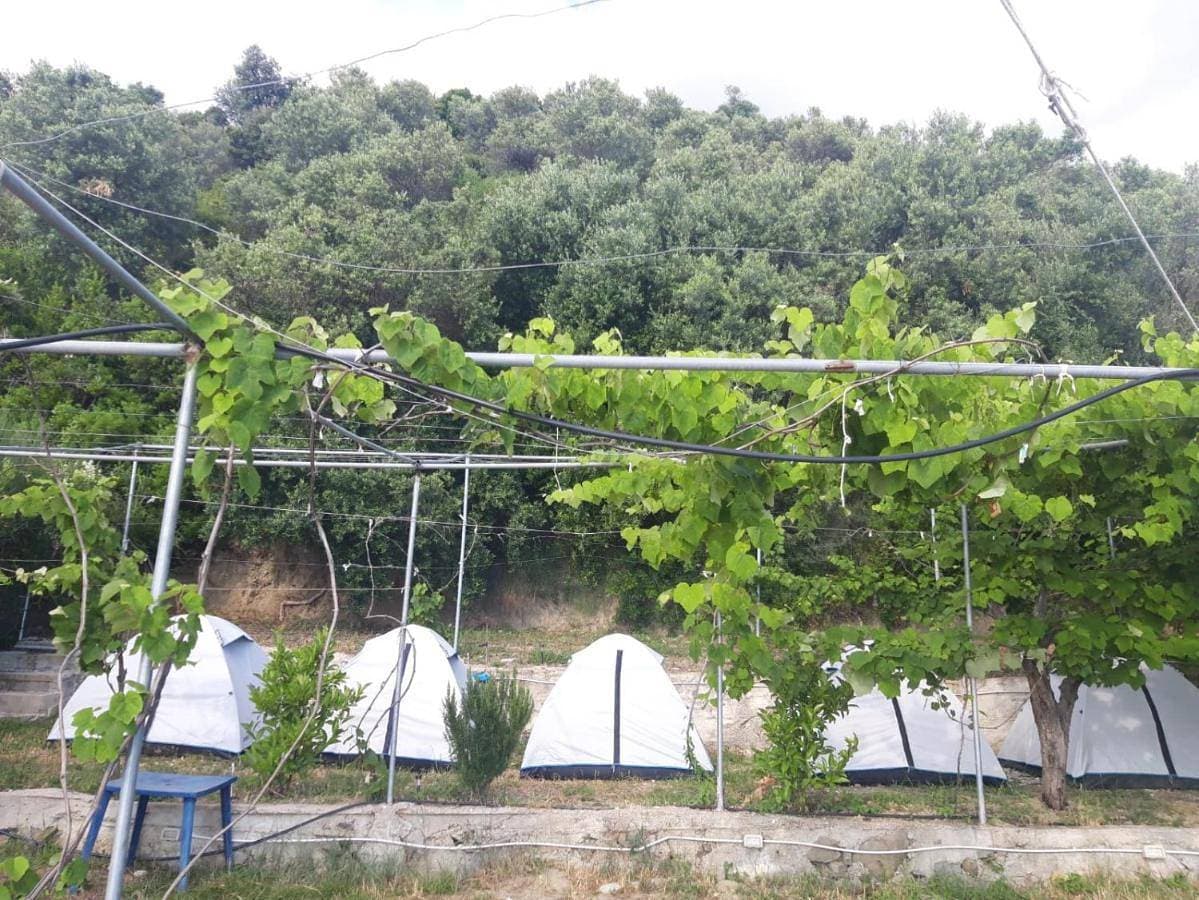 Foto 4 von 16: Tent