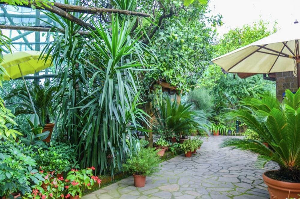 Foto 5 von 16: Großes Studio Rosa, Sorrento, für 3 Personen
