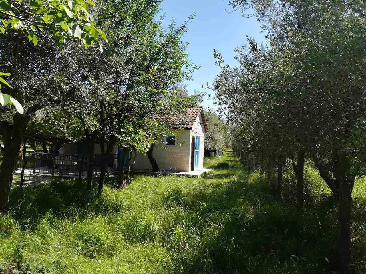 Foto 11 von 17: Rajana Bungalow 2 (Olivenhaus)