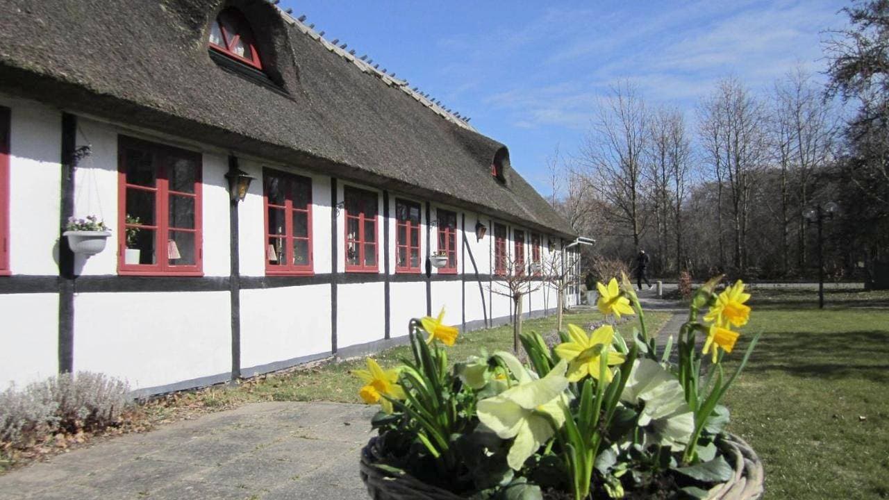 Foto 5 von 28: Kirsebærkroen