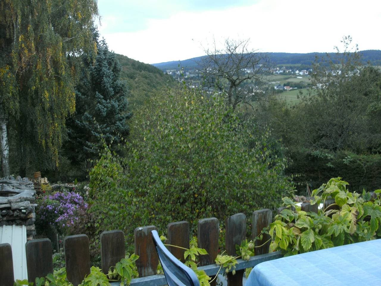 Foto 12 von 57: Wohnung in Morbach nahe Skilift