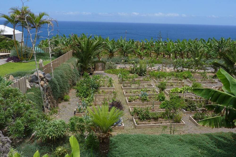 Foto 9 von 26: Villa on the seafront with pool_Ecological farm