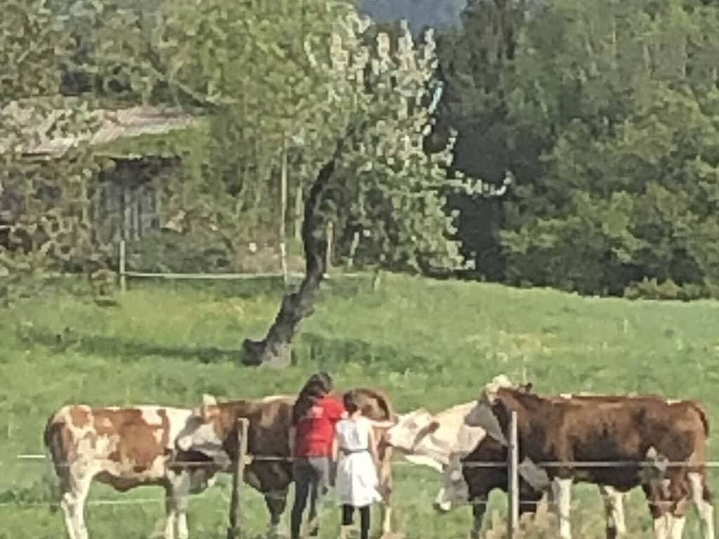 Foto 9 von 44: Ferienhaus mit 1 Schlafzimmer