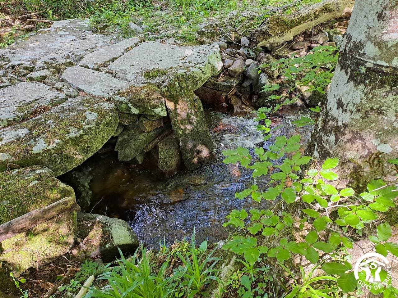 Foto 4 von 52: La Grange de la Ginestière