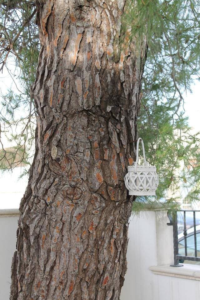 Foto 9 von 31: Holiday Home
