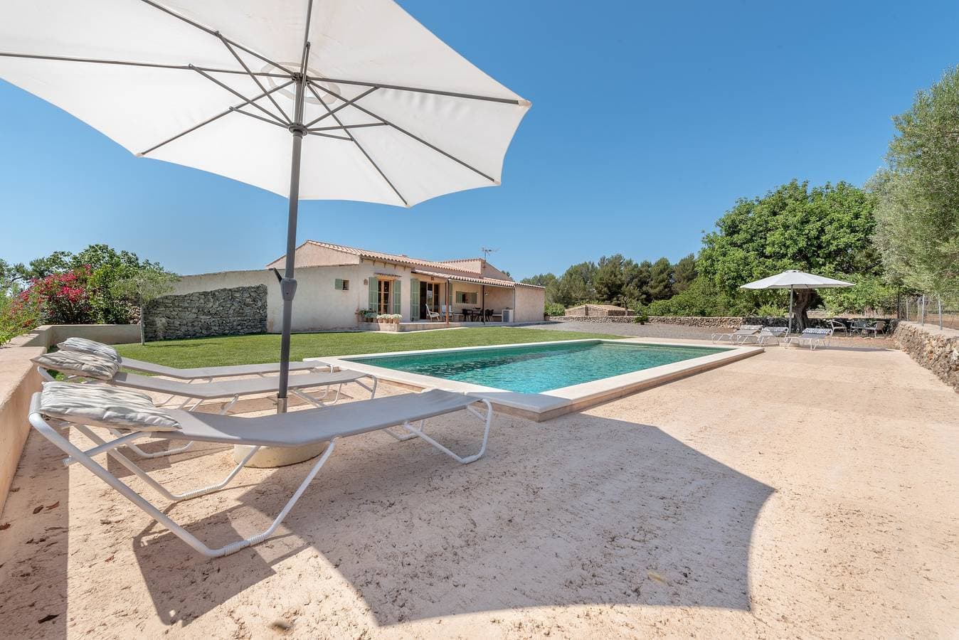 Finca Laurel 1