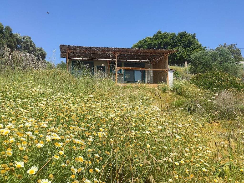 Foto 2 von 19: Tiny Haus Mythos