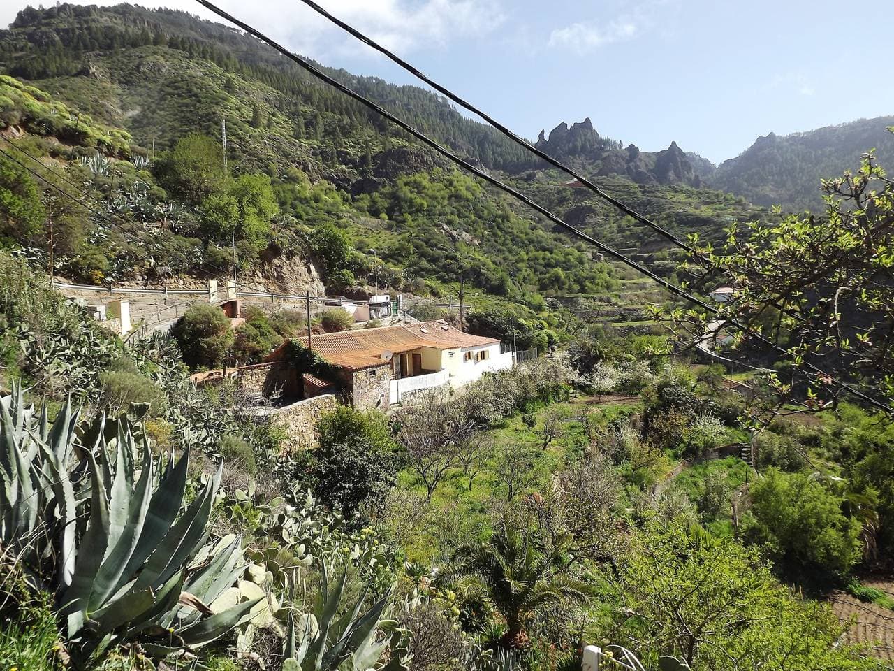 Foto 2 von 34: Rural house in the center of Gran Canaria 2 noches