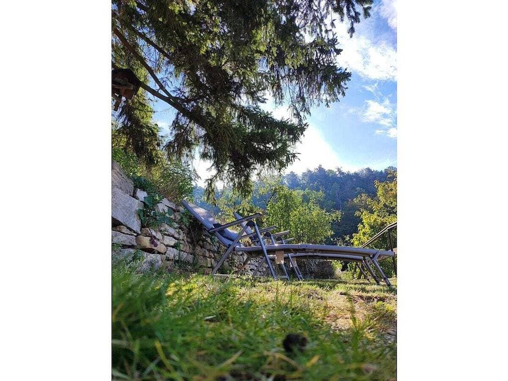 Foto 7 von 42: "Wohnen im Weinberg"