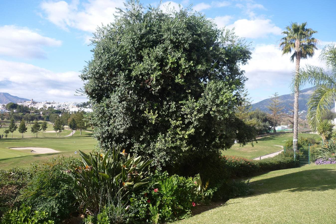 Foto 3 von 29: Beautiful Apt with Golf & Lake Views Mijas Golf