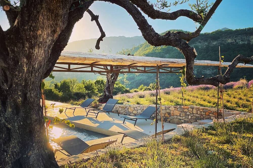 Exceptional farm in Drôme Provençale! 1