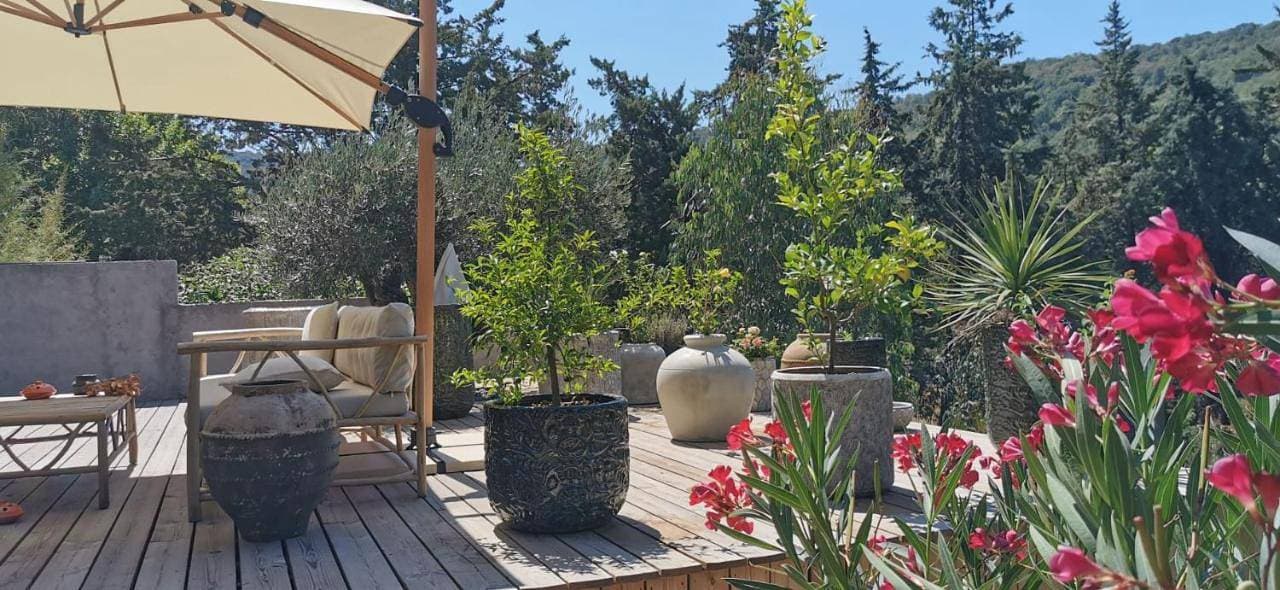 Chambre chez l'habitant dans un écrin de verdure 1