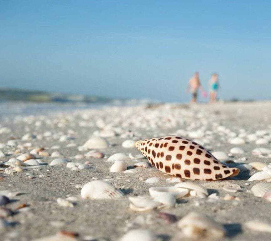 Neu renoviertes Coastal Chic Cottage nur wenige Minuten vom Strand entfernt!  Kostenlose Fahrräder! 1