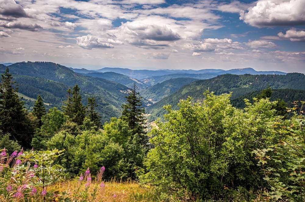 Foto 13 von 18: Ferienwohnung "Bergfrieden", Hinterzarten