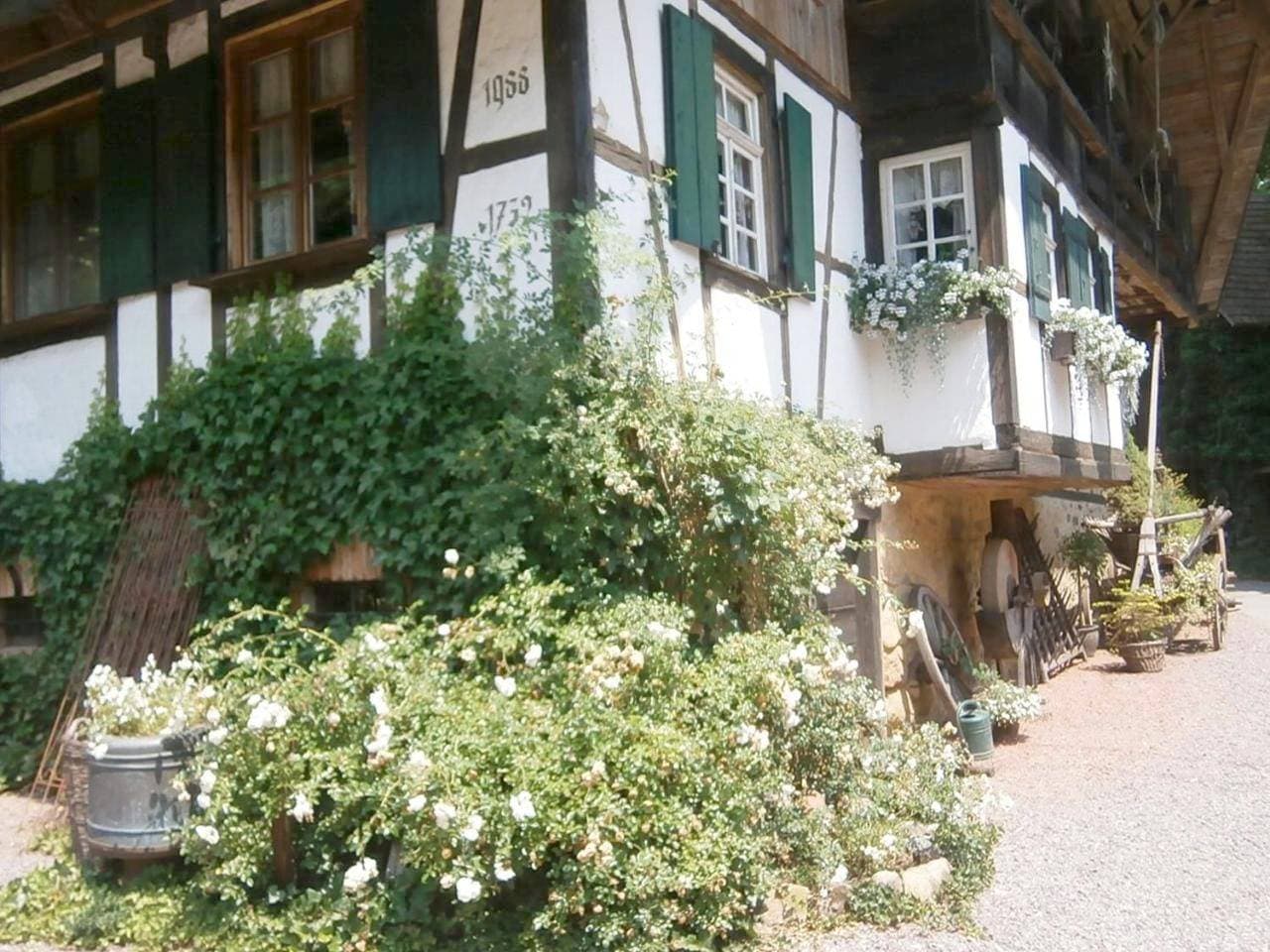 Foto 4 von 28: Apartment - Ground Floor