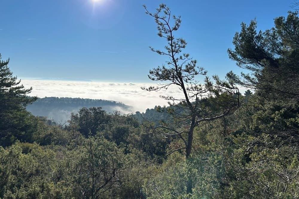 Foto 12 von 30: Enjoy nature in an enchanting and fantastic setting in Cucuron