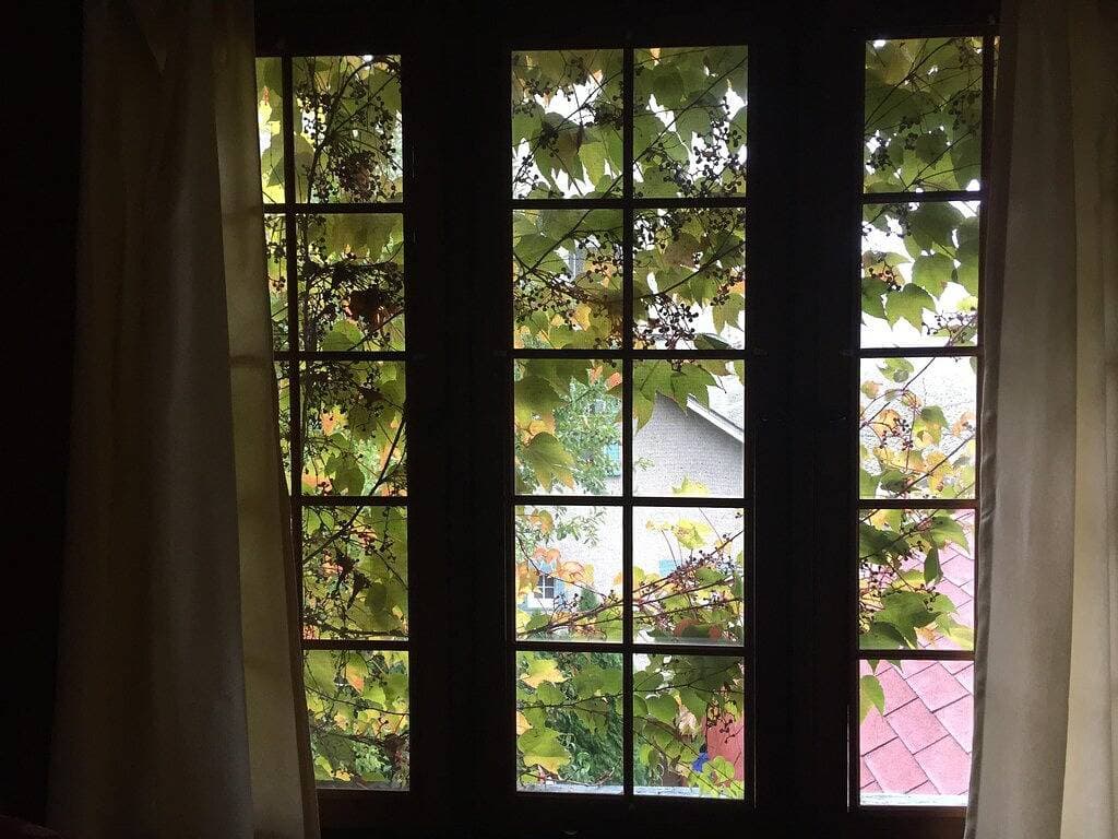 Foto 13 von 24: Valhalla Suite – Cozy, Eclectic Studio in Downtown Nelson