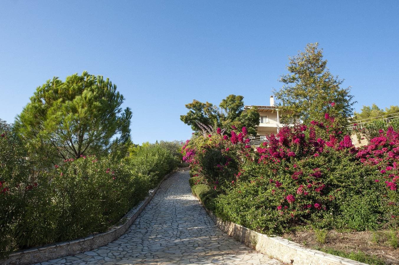 Foto 3 von 32: Villa für 12 Personen mit Garten